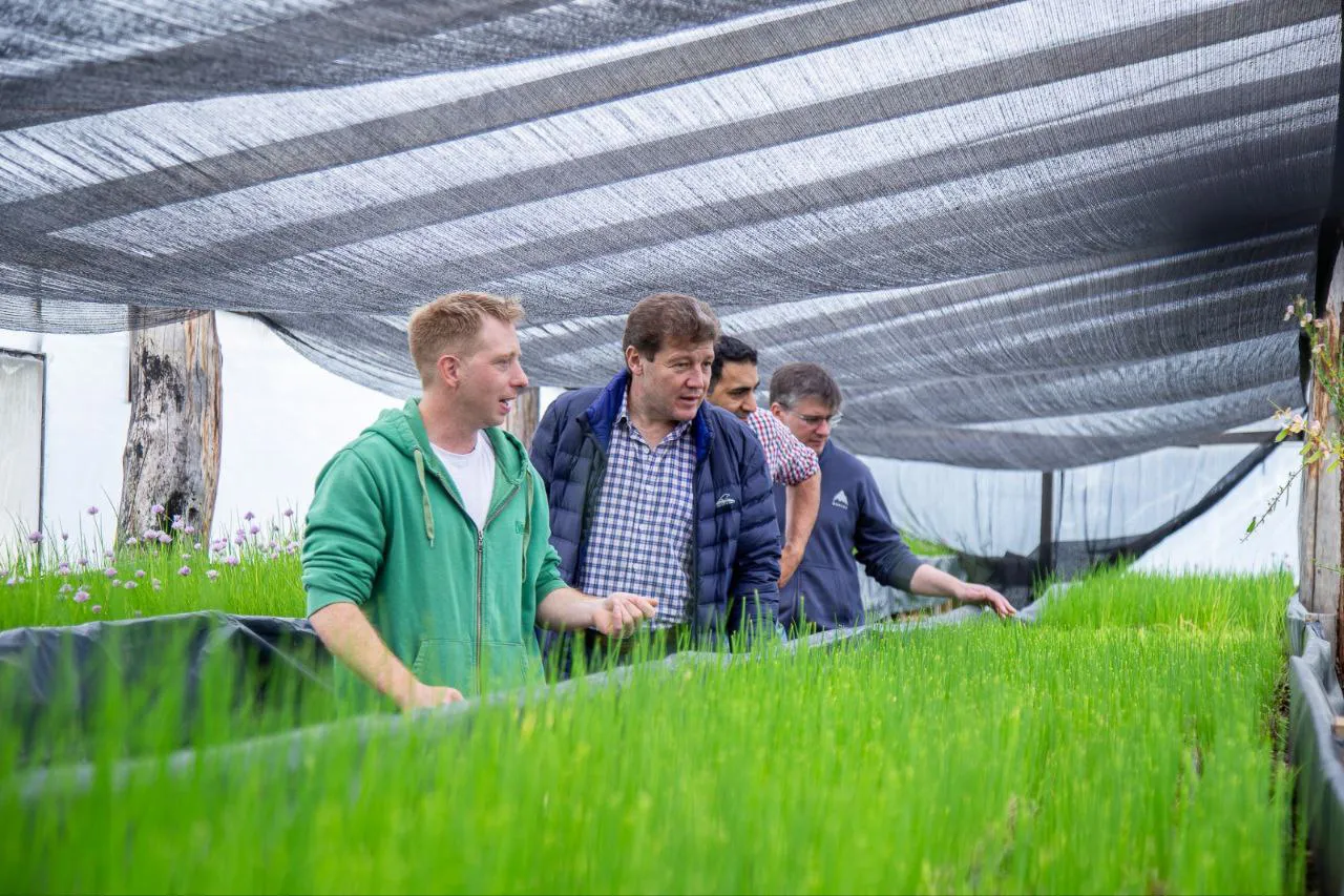 photo_2025-12-05_17-28-34