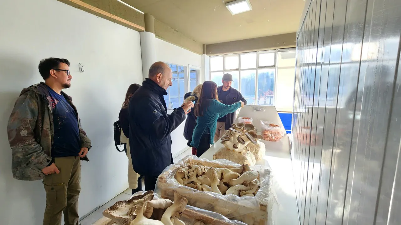 photo_2025-03-25_11-45-15