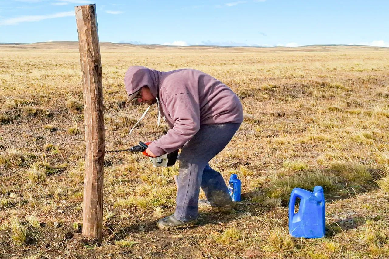 photo_2025-03-31_12-53-46