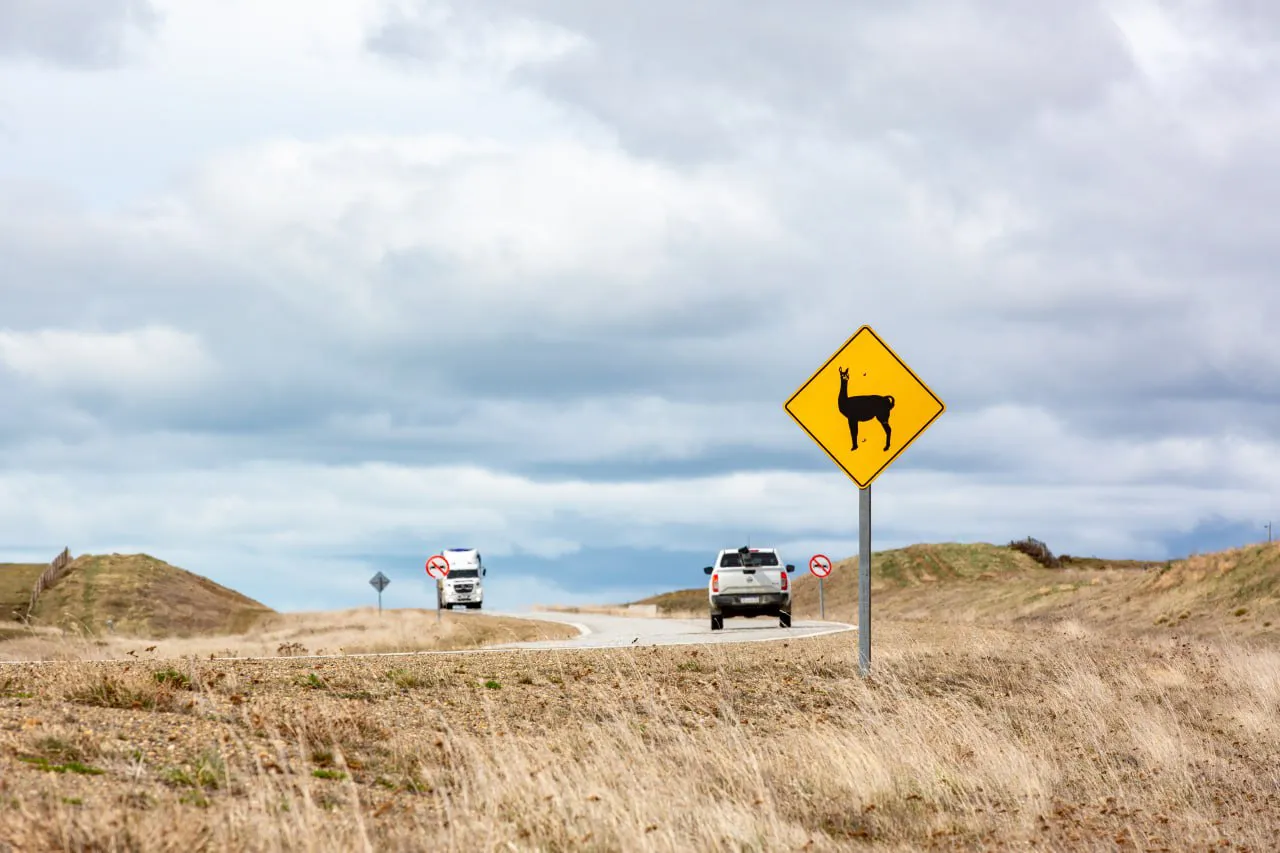 photo_2025-09-10_12-04-07