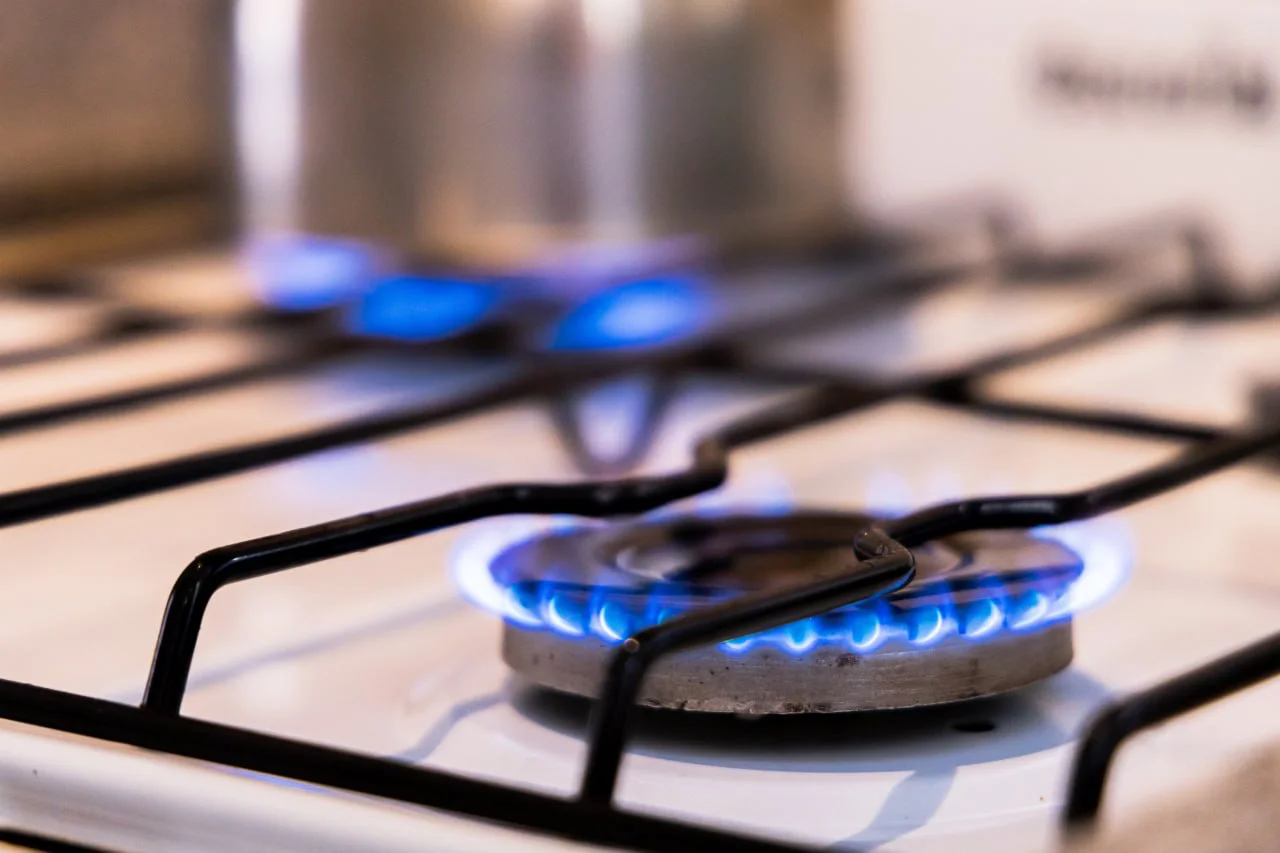 photo_2026-03-30_11-18-54