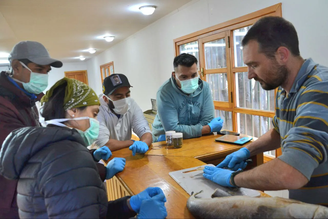 photo_2025-04-11 12.12.26