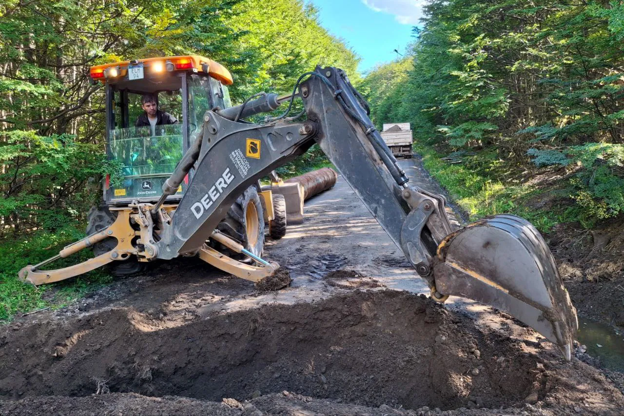 photo_2026-02-10_11-01-09