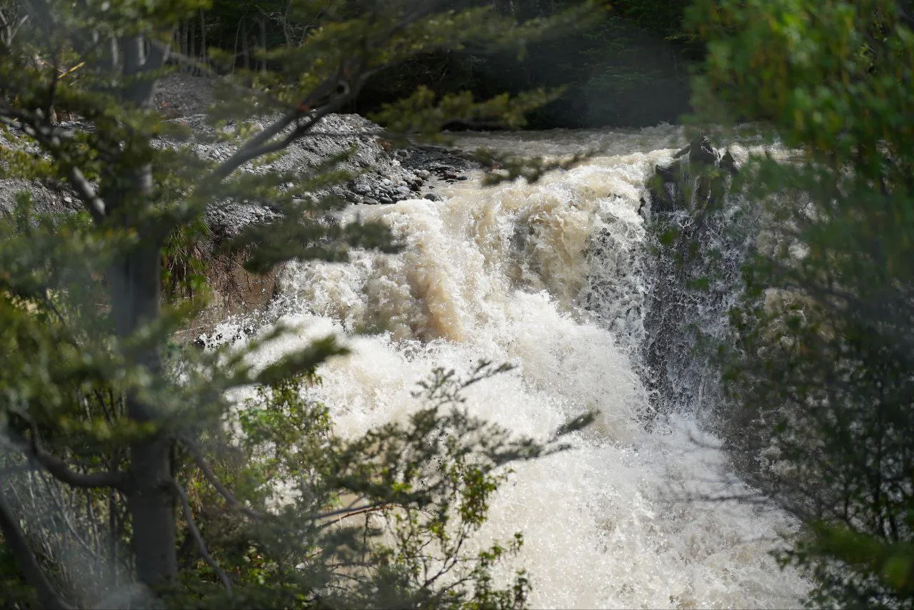 photo_2025-11-10_11-48-53