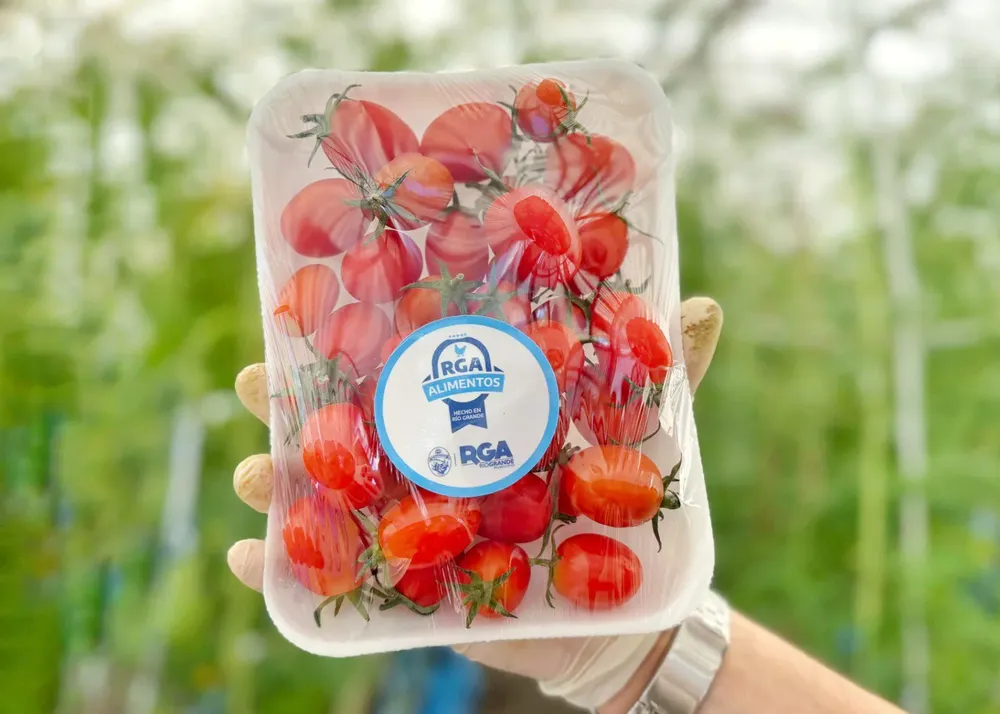 photo_2025-05-12_15-35-32