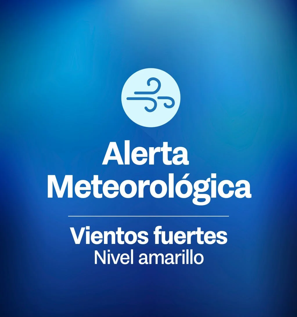 photo_2026-03-31_11-48-12