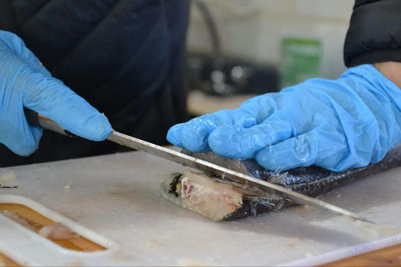 photo_2025-04-11 12.12.20