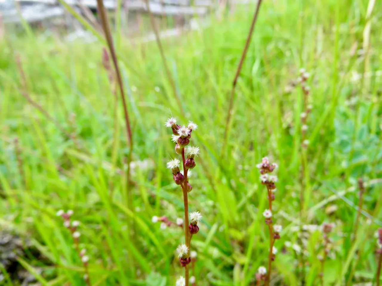 photo_2025-07-31_19-47-35