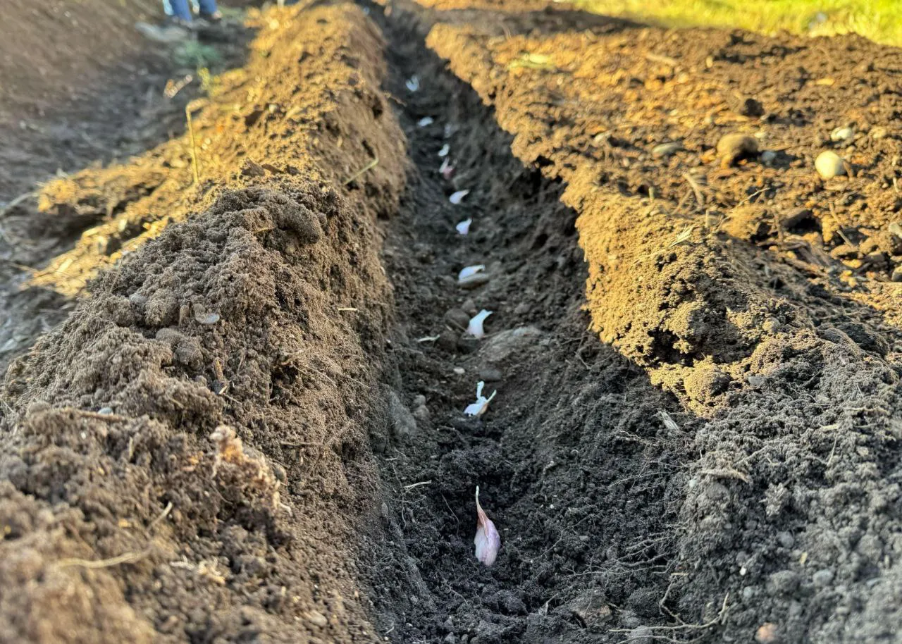 photo_2025-04-08 12.28.31