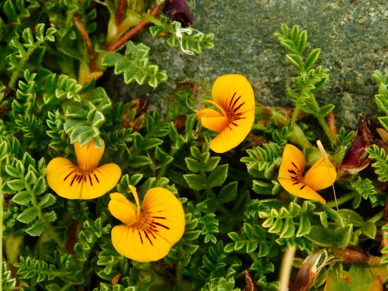 photo_2025-07-31_19-47-42