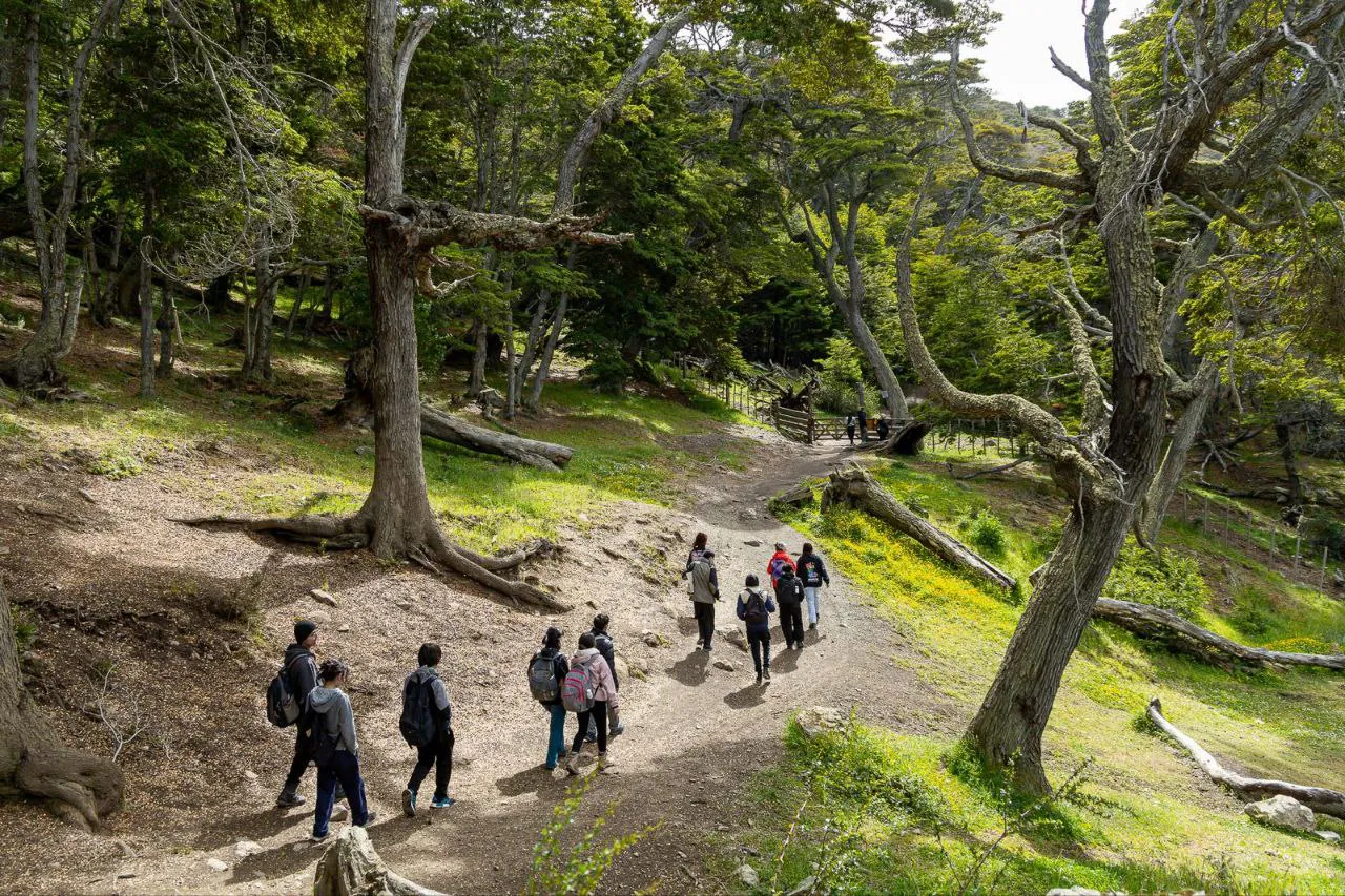 photo_2026-02-09_10-33-44