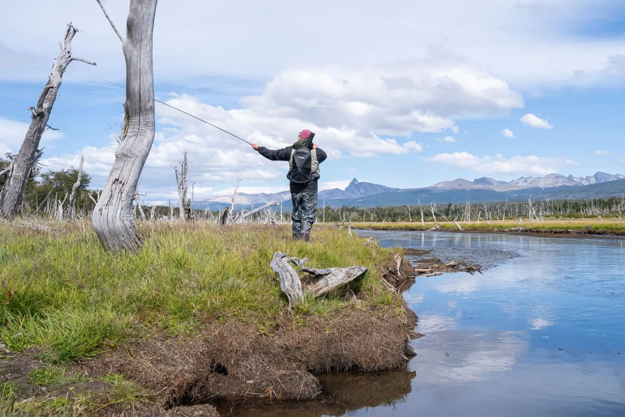 photo_2025-10-30_11-36-13