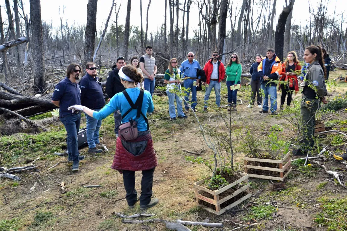 photo_2025-11-03_12-20-26