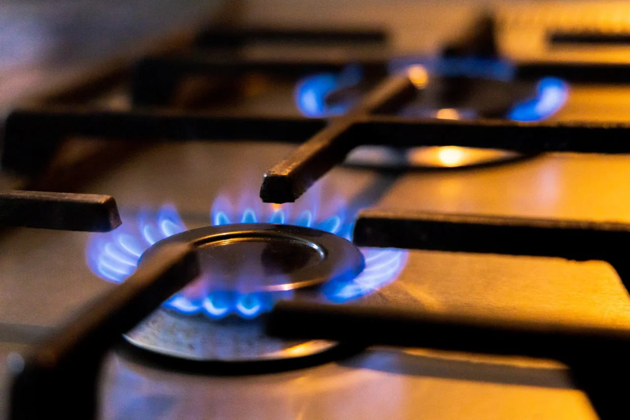 photo_2026-03-31_11-06-07