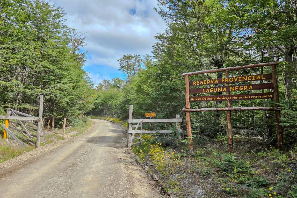 photo_2026-01-28_18-56-31